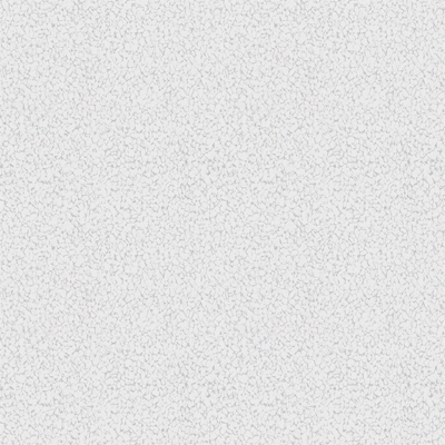 Chief Financial Officer